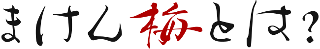 まけん梅とは