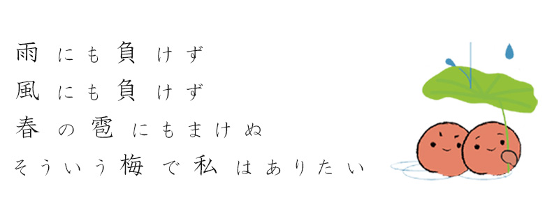 梅の写真